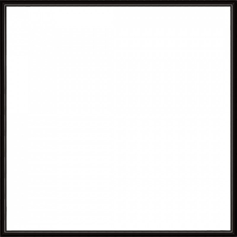 profil 15 couleur noir anodisé 016