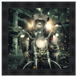 " Gorille moto " de Sylvain...