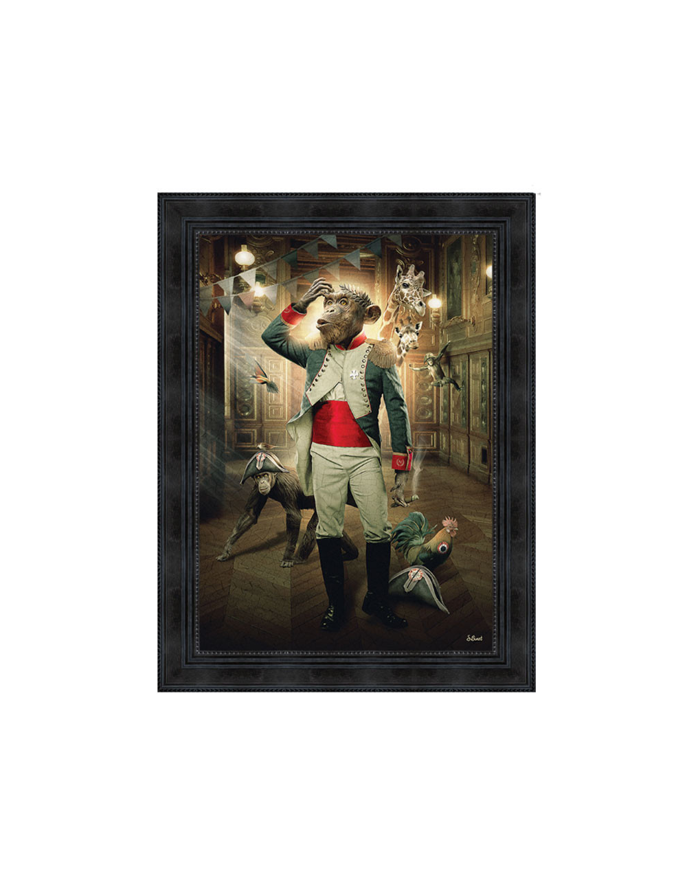 " Singe empereur" de Sylvain BINET, Tableau design 50x70 " Singe empereur" de Sylvain BINET, Tableau design 50x70