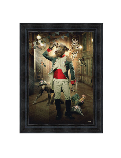 "Singe empereur",50x70cm de Sylvain BINET