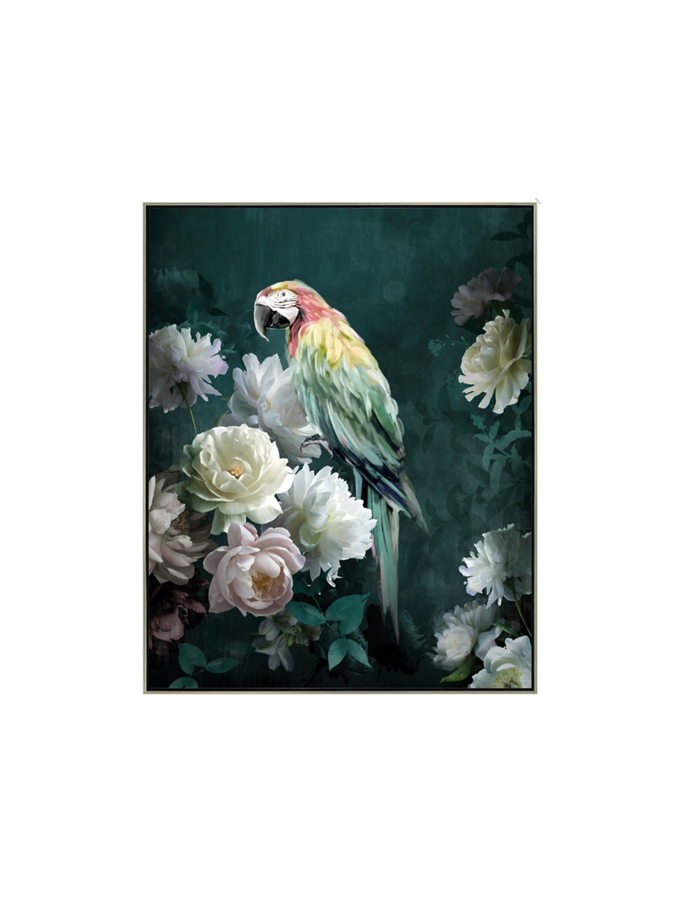 Tableau perroquet pastel rétro – fleurs blanches 40x50 cm
