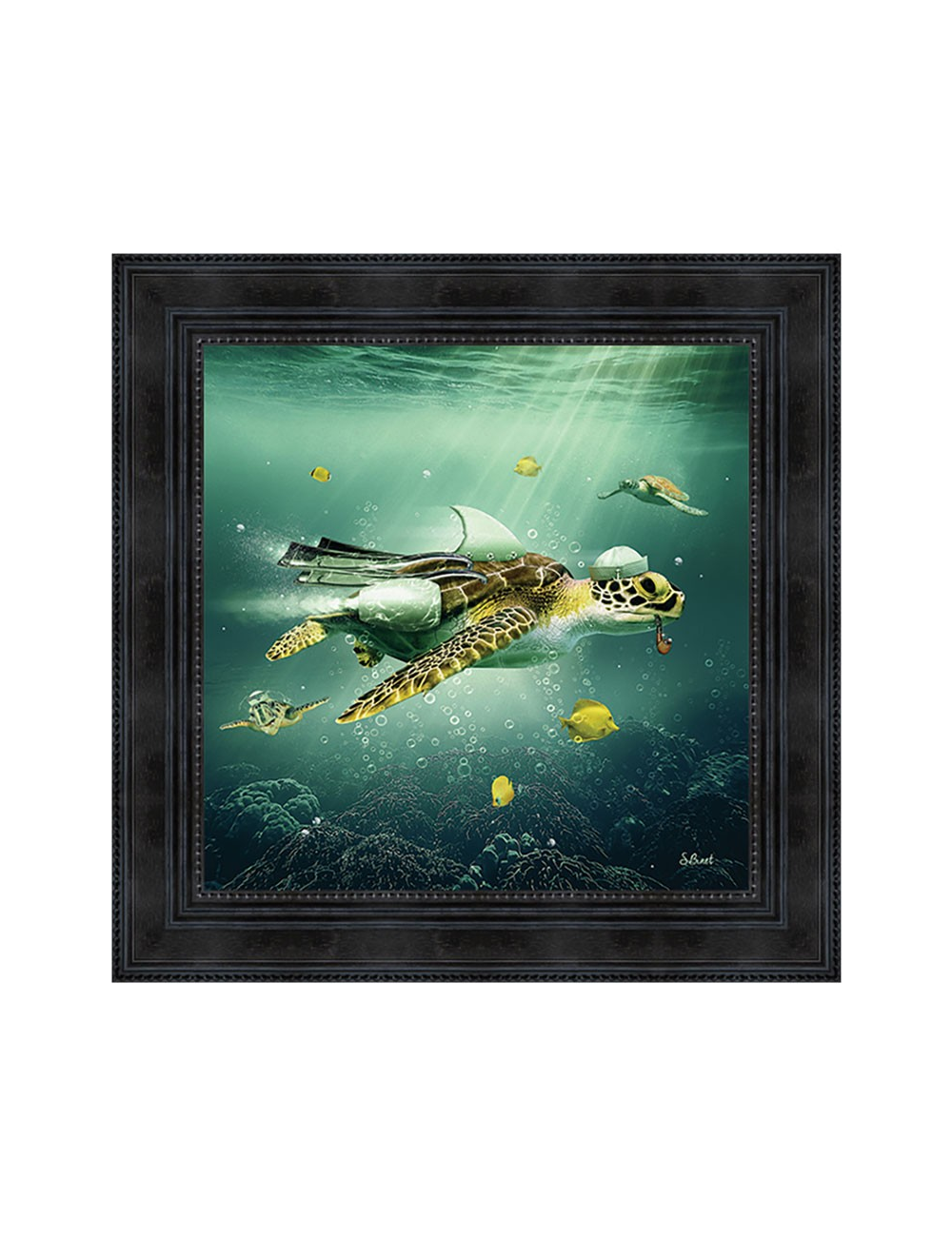 Tableau Tortue de Sylvain Binet