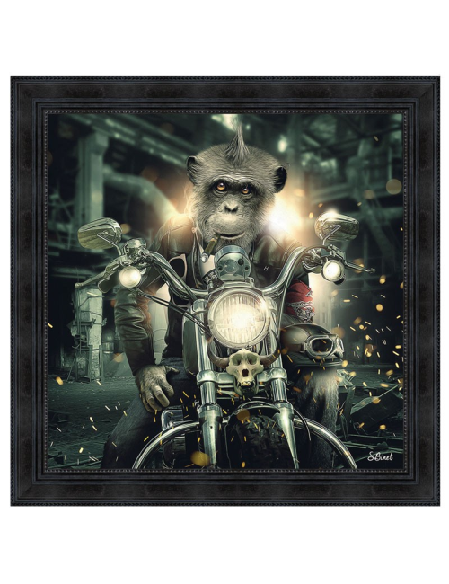 Gorille moto,68x68cm, tableau de Sylvain Binet