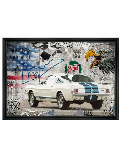 Tableau Ford Shelby GT350 –RUBIX