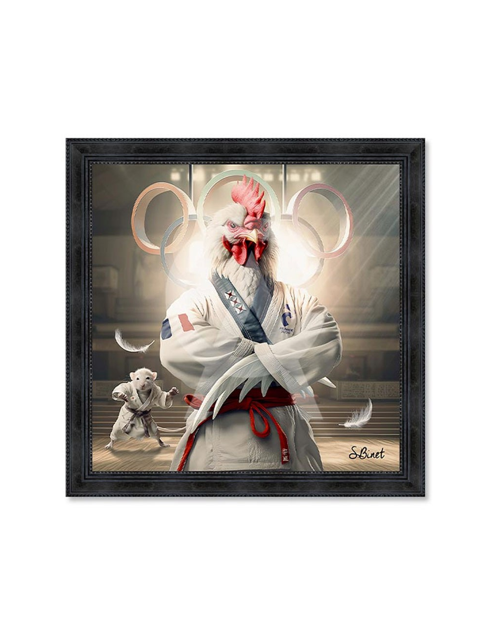 Tableau Coq Judo – Sylvain Binet
