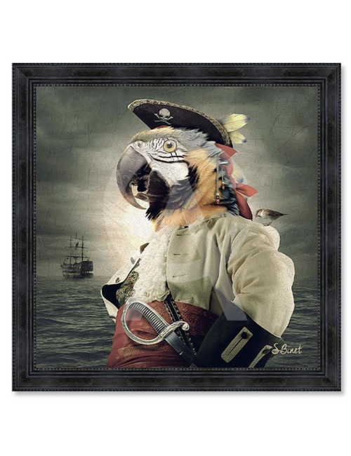 "Perroquet pirate",Tableau de Sylvain Binet