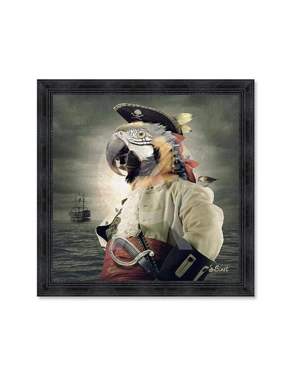 Tableau XXL Perroquet pirate de Sylvain Binet