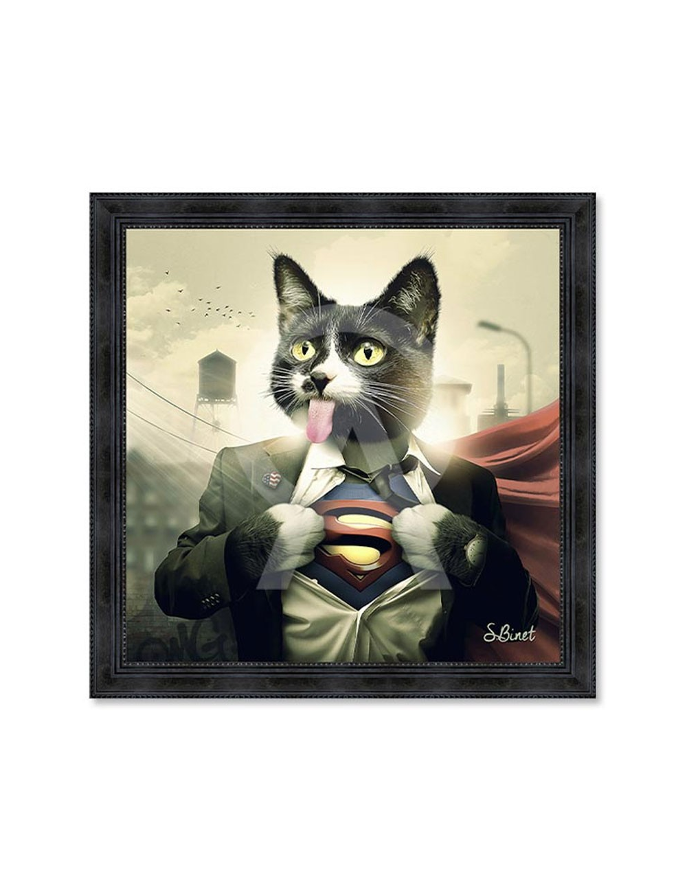 Supercat, Tableaux de Sylvain Binet