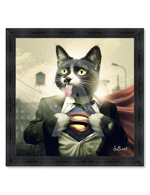 Supercat, Tableaux de Sylvain Binet