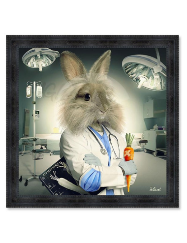 Lapin infirmier,Tableaux XXL de Sylvain Binet