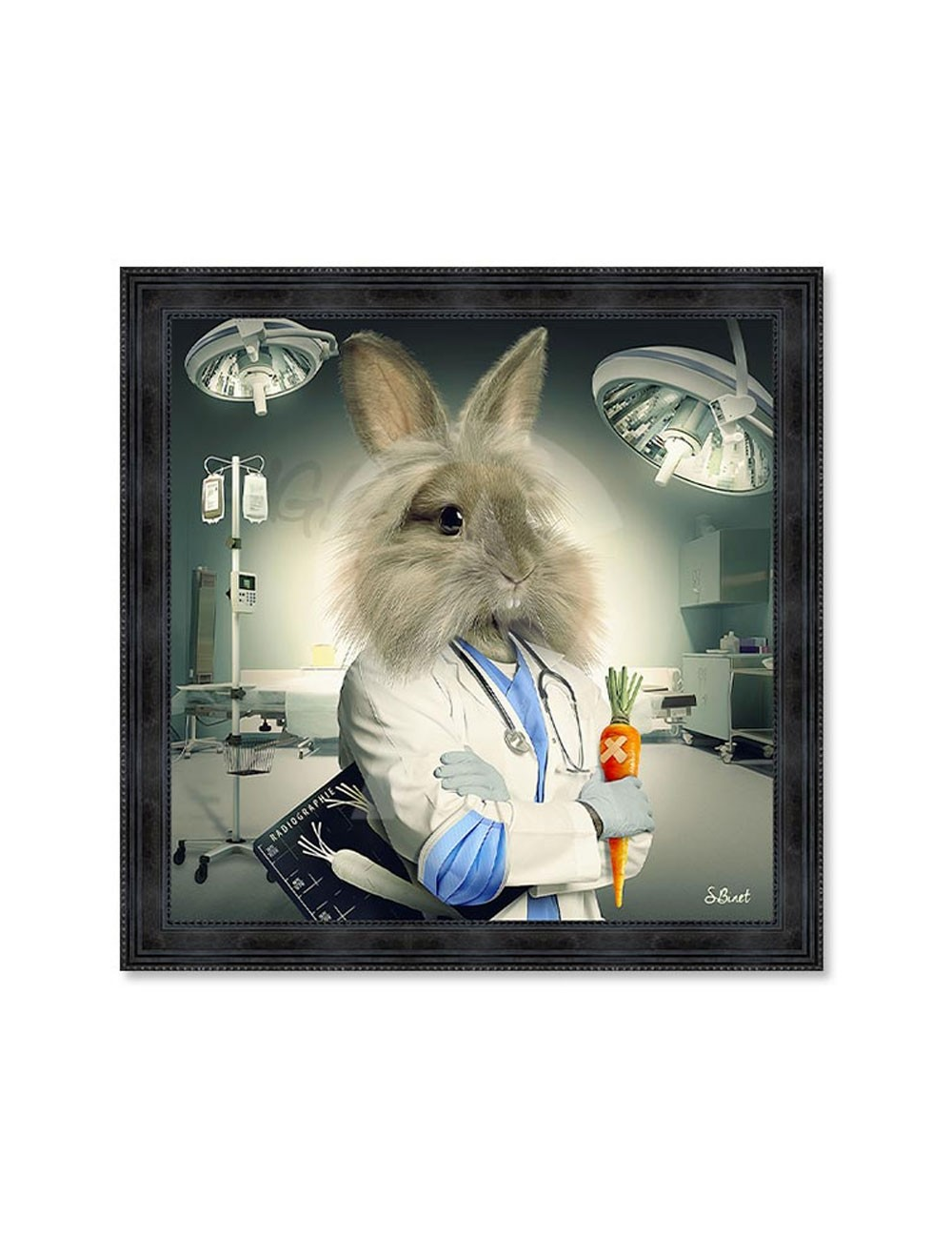 Lapin infirmier,Tableaux XXL de Sylvain Binet