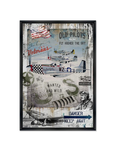 Avion P-51 Mustang-Tableau par Rubix 80x120
