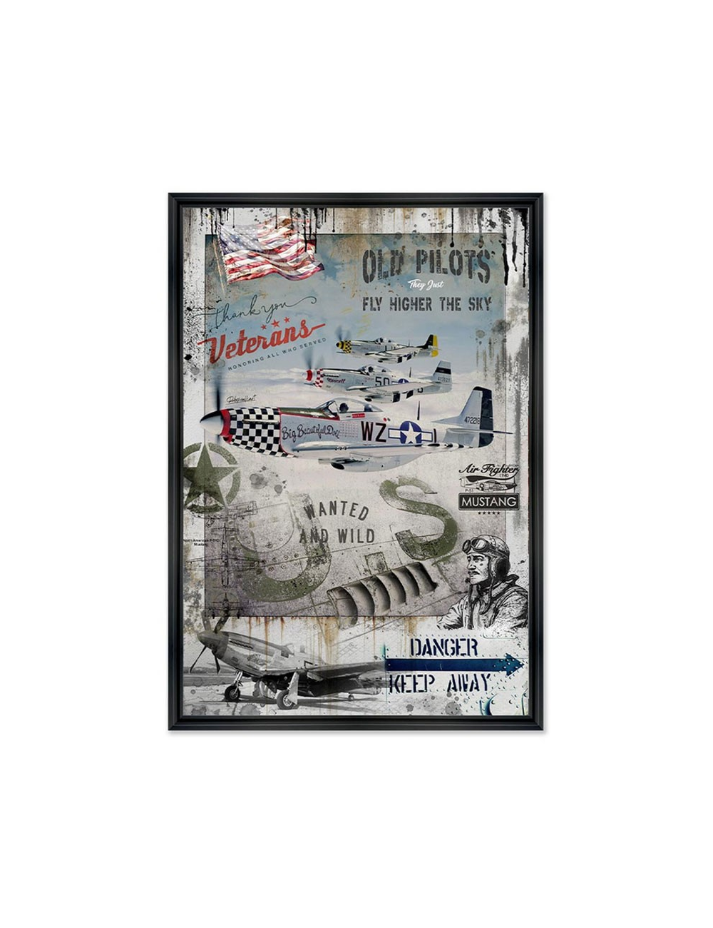 Avion P-51 Mustang-Tableau par Rubix 80x120