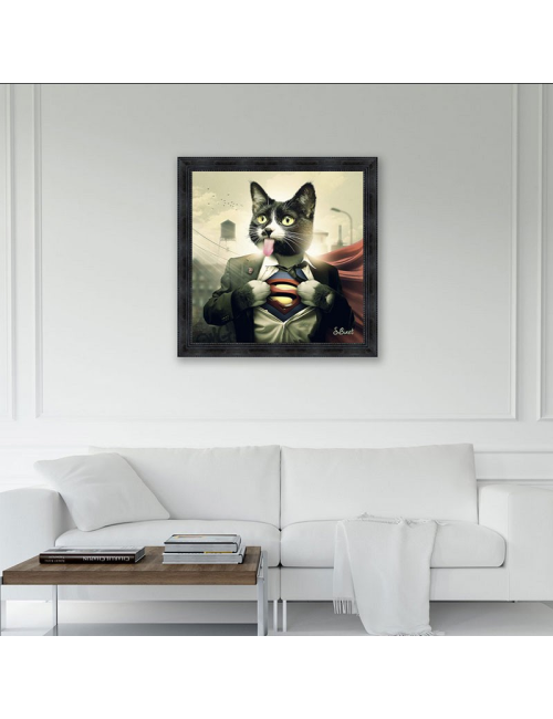 Supercat, Tableaux de Sylvain Binet