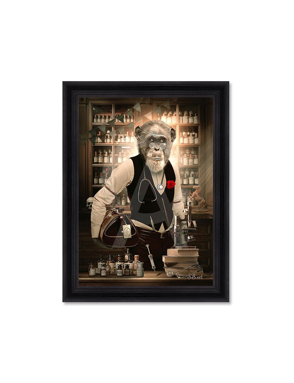 Tableau Vintage Docteur 80x120 cm – Sylvain Binet