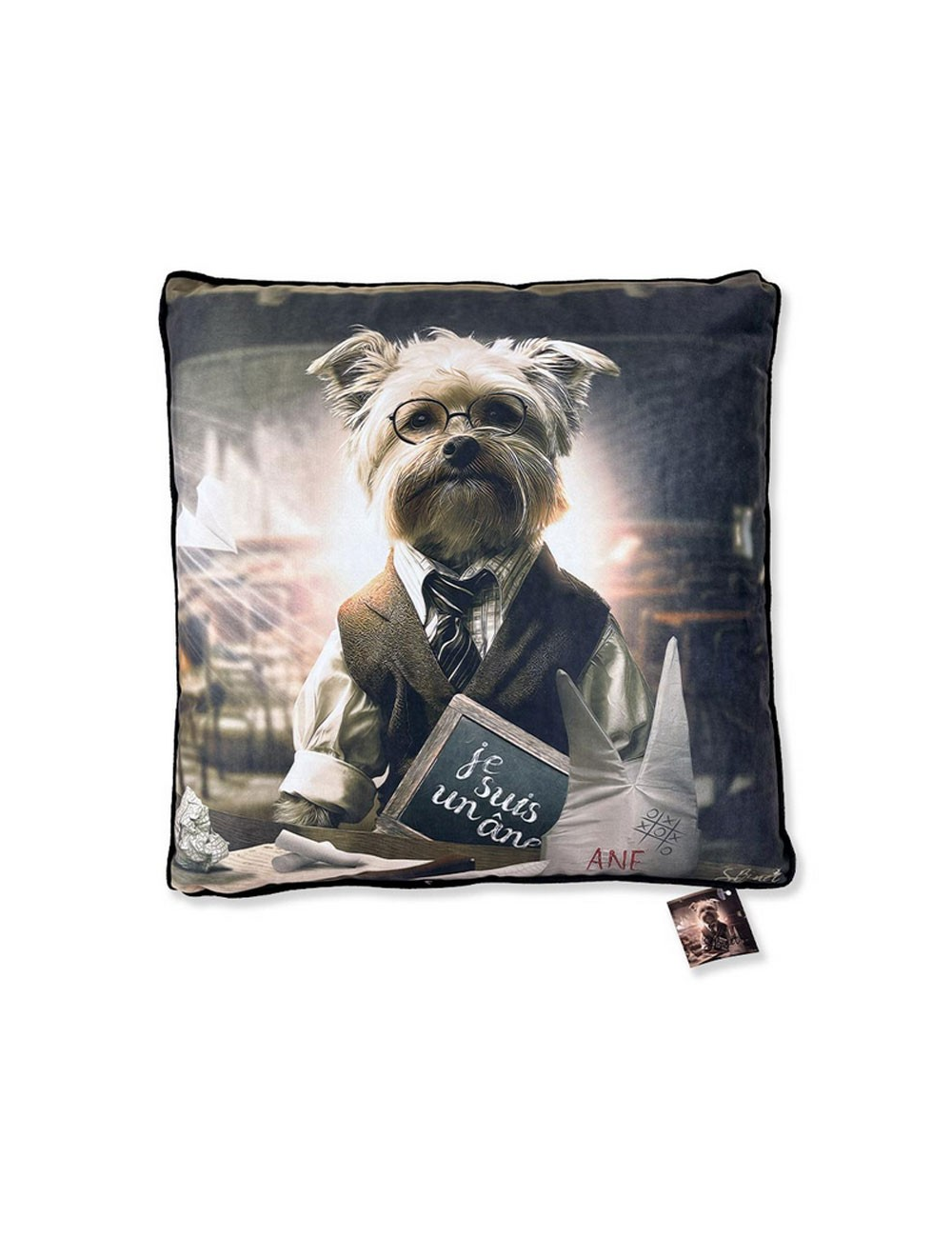 "Chien école", Lot de 2 coussins, Binet