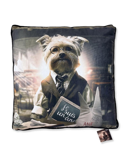 "Chien école", Lot de 2 coussins, Binet