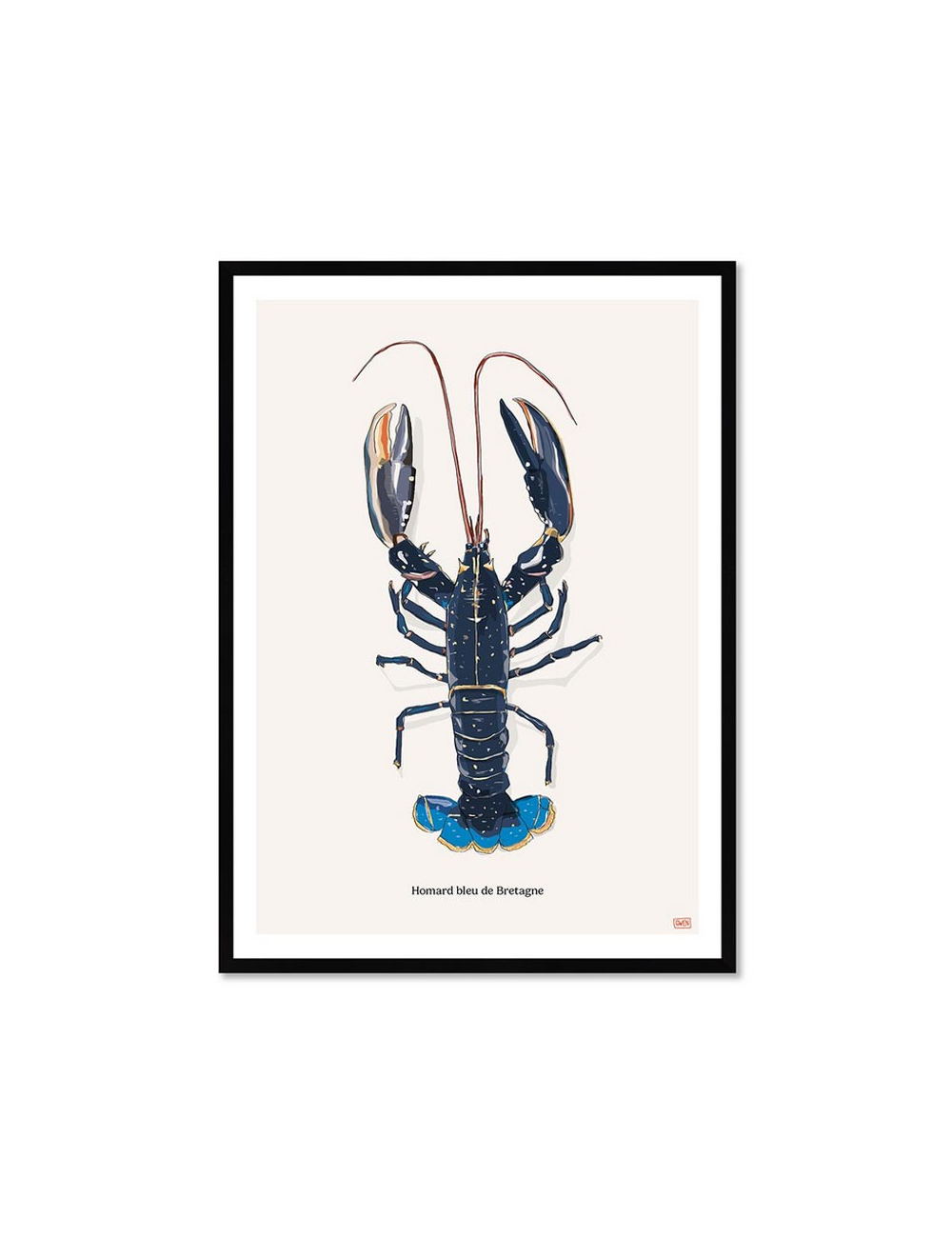 Affiche encadrée Homard bleu de Bretagne