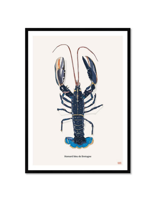 Affiche encadrée Homard bleu de Bretagne