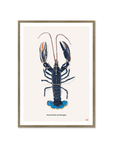 Affiche encadrée Homard bleu de Bretagne