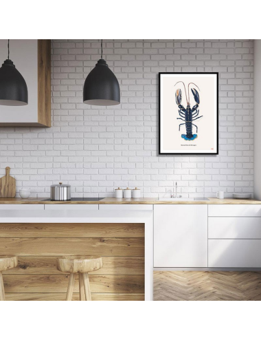 Affiche encadrée Homard bleu de Bretagne