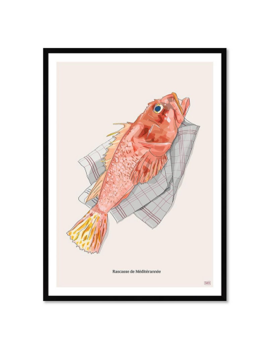 Affiche Rascasse Méditerranée – Illustration encadrée vintage