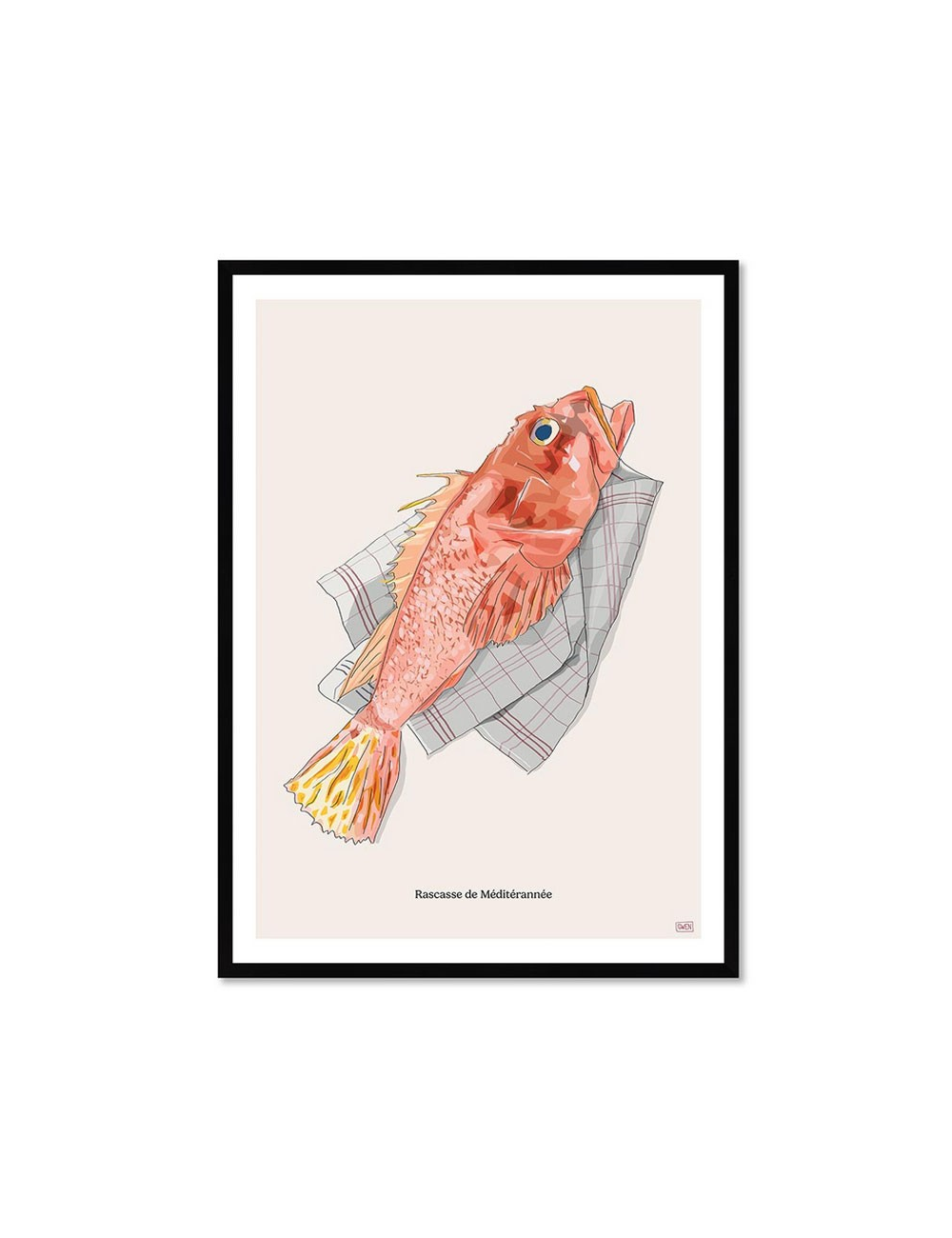 Affiche Rascasse Méditerranée – Illustration encadrée vintage