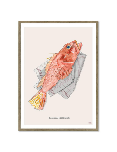Affiche Rascasse Méditerranée – Illustration encadrée vintage