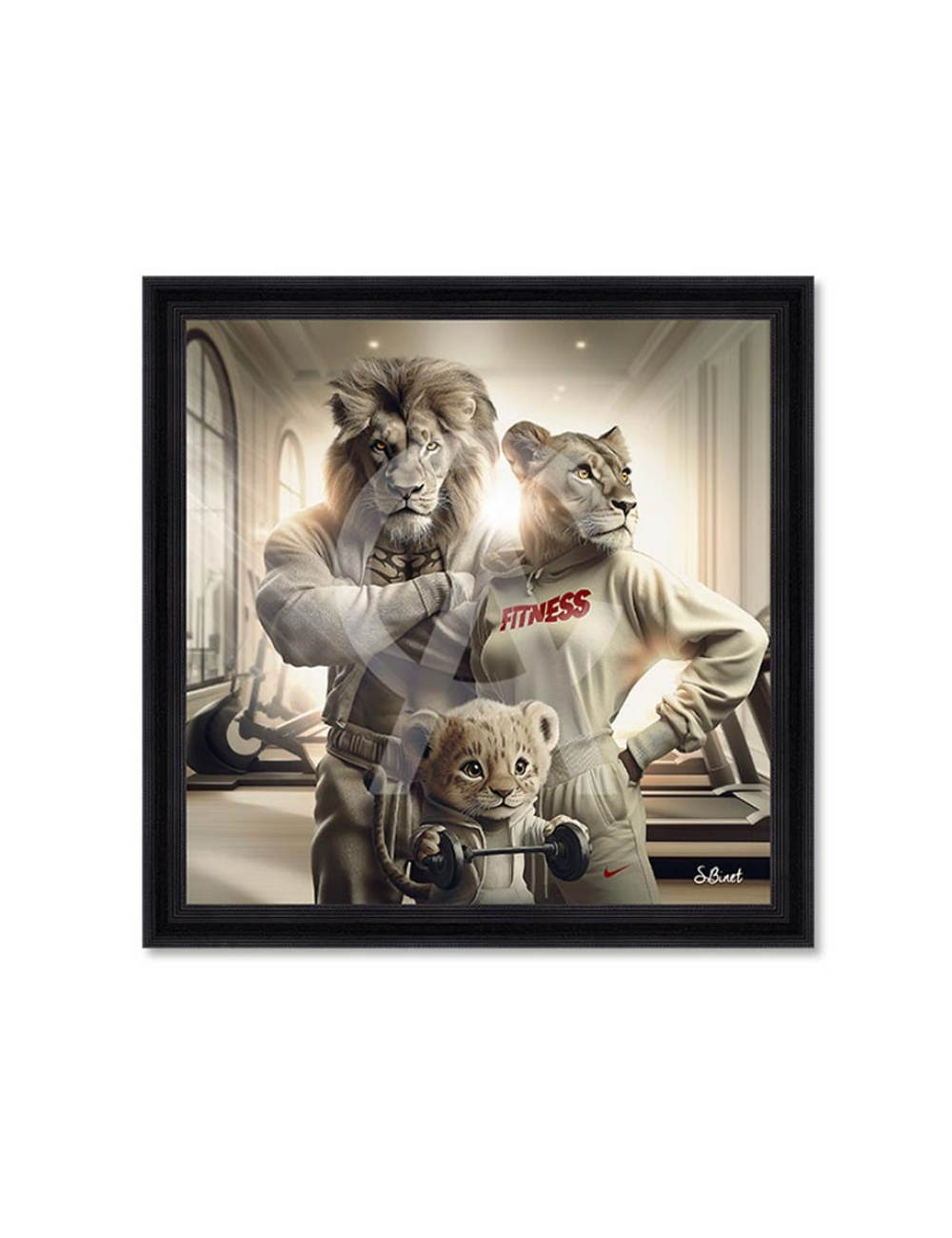 Tableau Lions Fitness – Sylvain Binet – grand format 100x100 cm