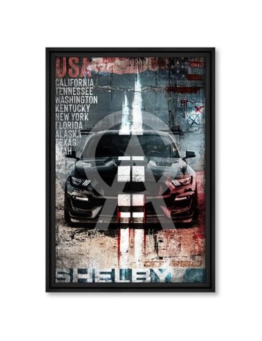 "Art Shelby 350", par Rubix