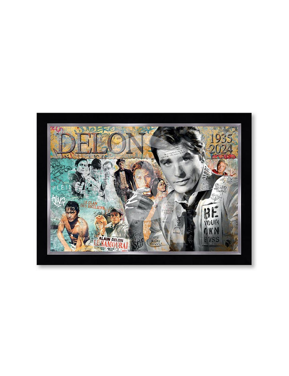Alain Delon,80x120cm, Romaric