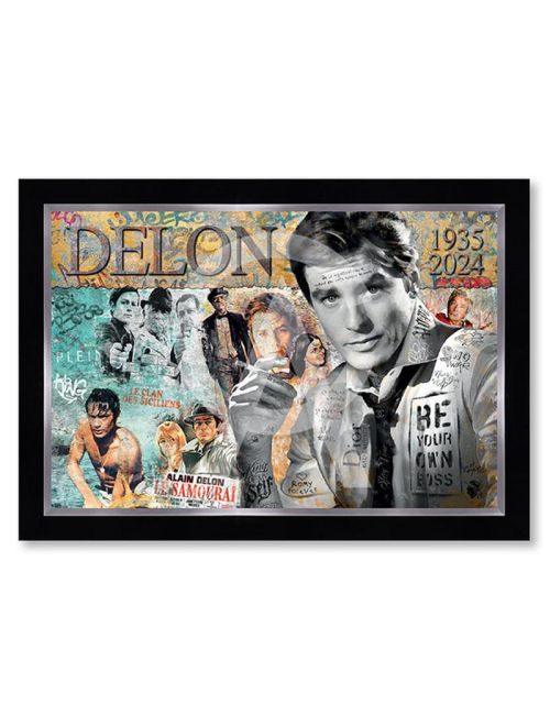 Alain Delon,80x120cm, Romaric