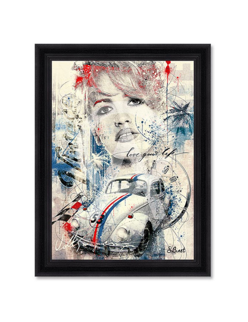 Coccinelle, Tableau de SYLVAIN BINET