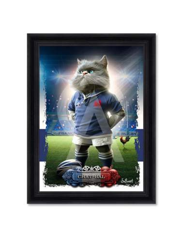 Tableau Chat-Bal Rugby – PVC Vernis Sélectif – Sylvain Binet