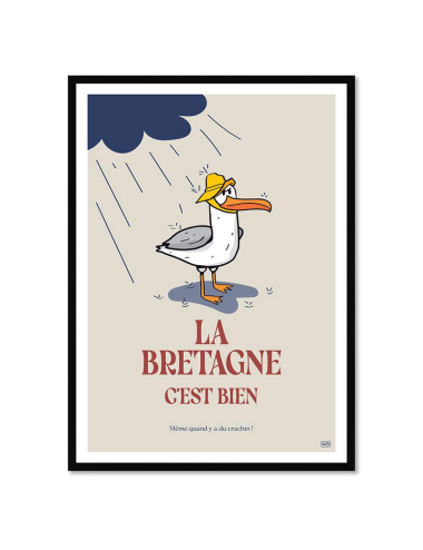 Affiche humour rétro Bretagne encadrée – Goéland et crachin