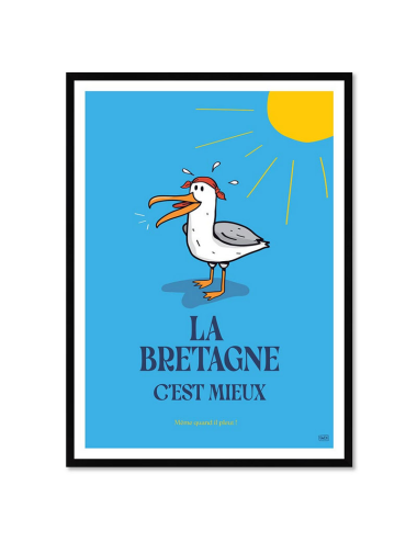 Affiche humour Bretagne rétro encadrée – Goéland