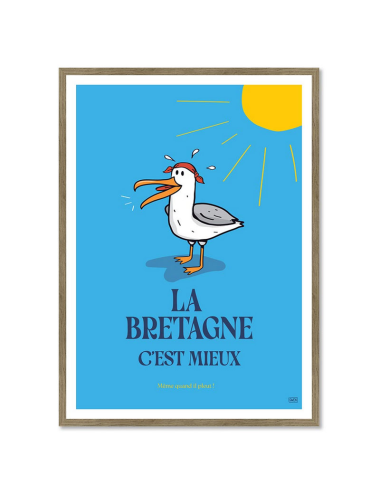 Affiche humour Bretagne rétro encadrée – Goéland