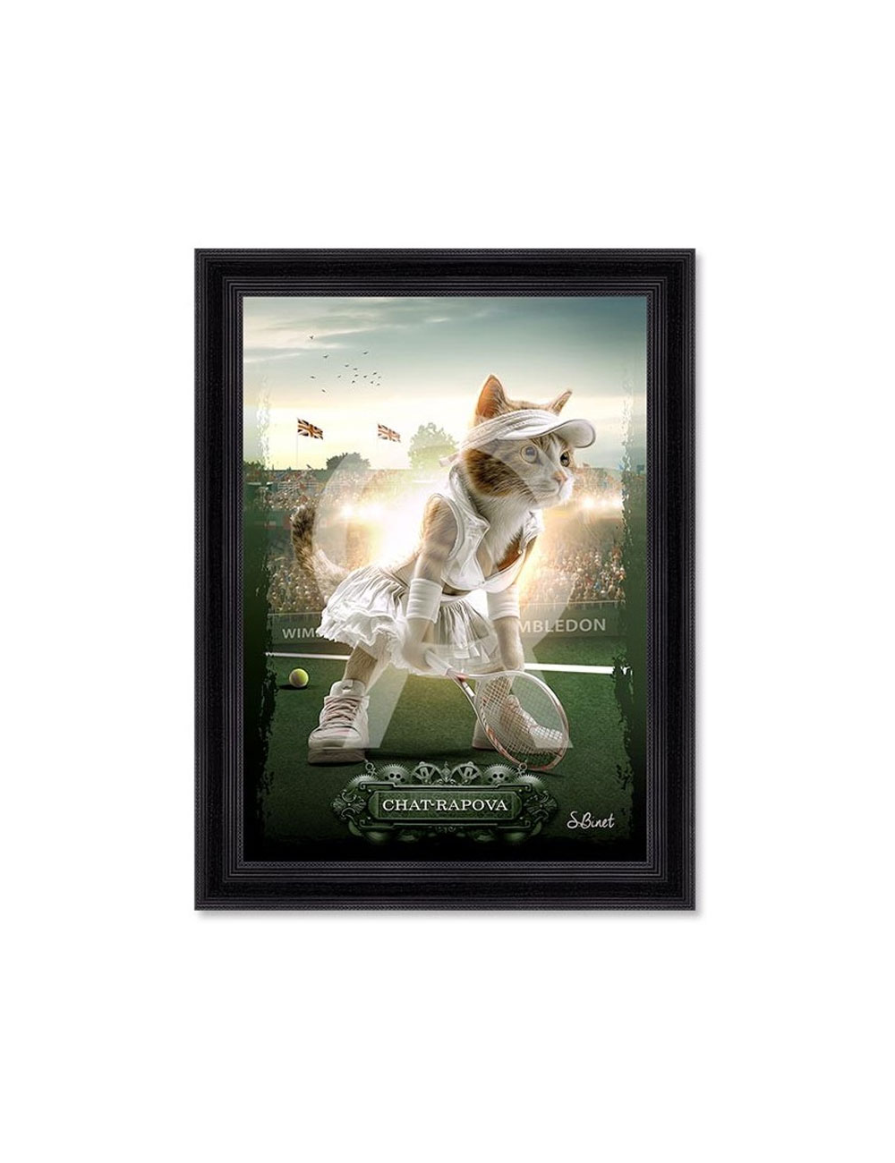 Tableau Chat-rapova – Sylvain Binet