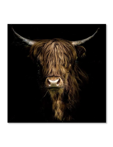 Tableau vache Highland sur verre – esprit sauvage