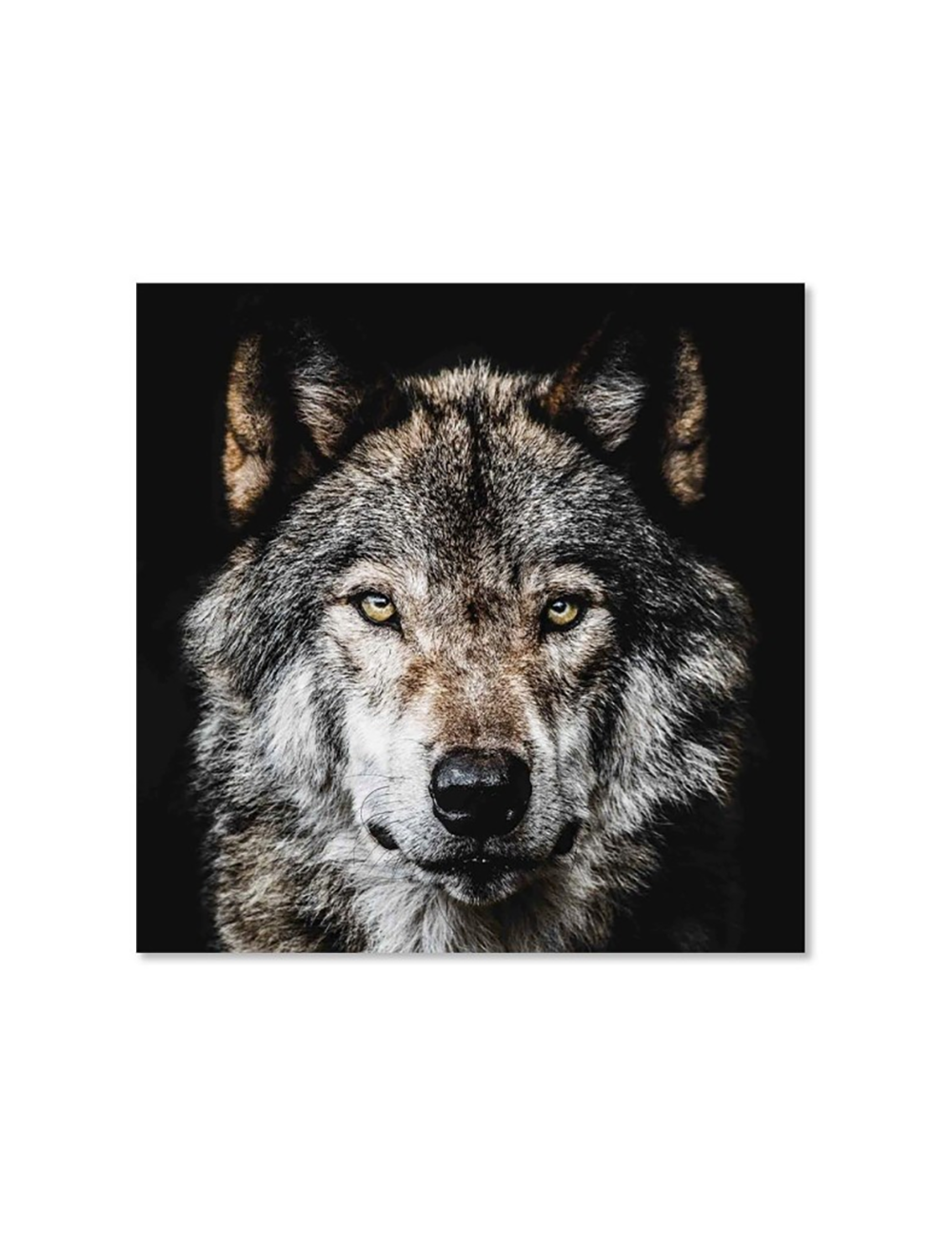 Tableau loup sur verre – regard puissant