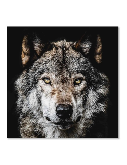 Tableau loup sur verre – regard puissant