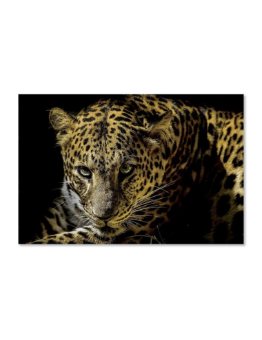 Tableau léopard sur verre – élégance sauvage