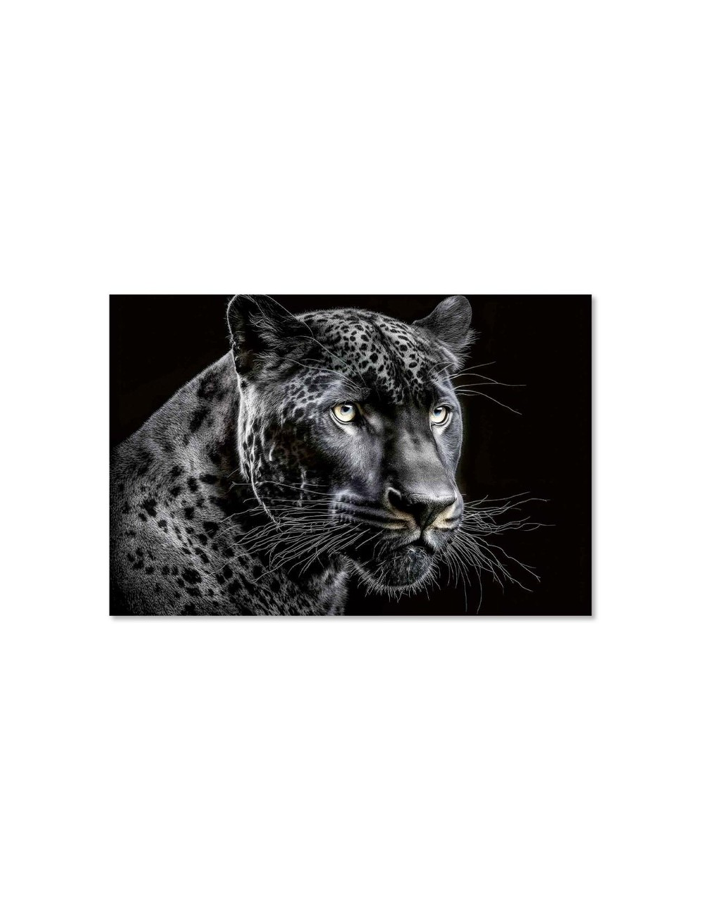 Tableau panthère noire sur verre – décoration murale