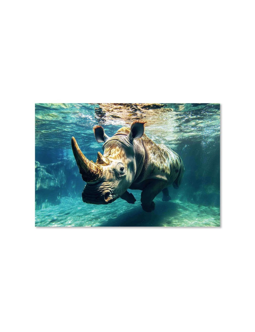 Tableau rhinocéros sur verre