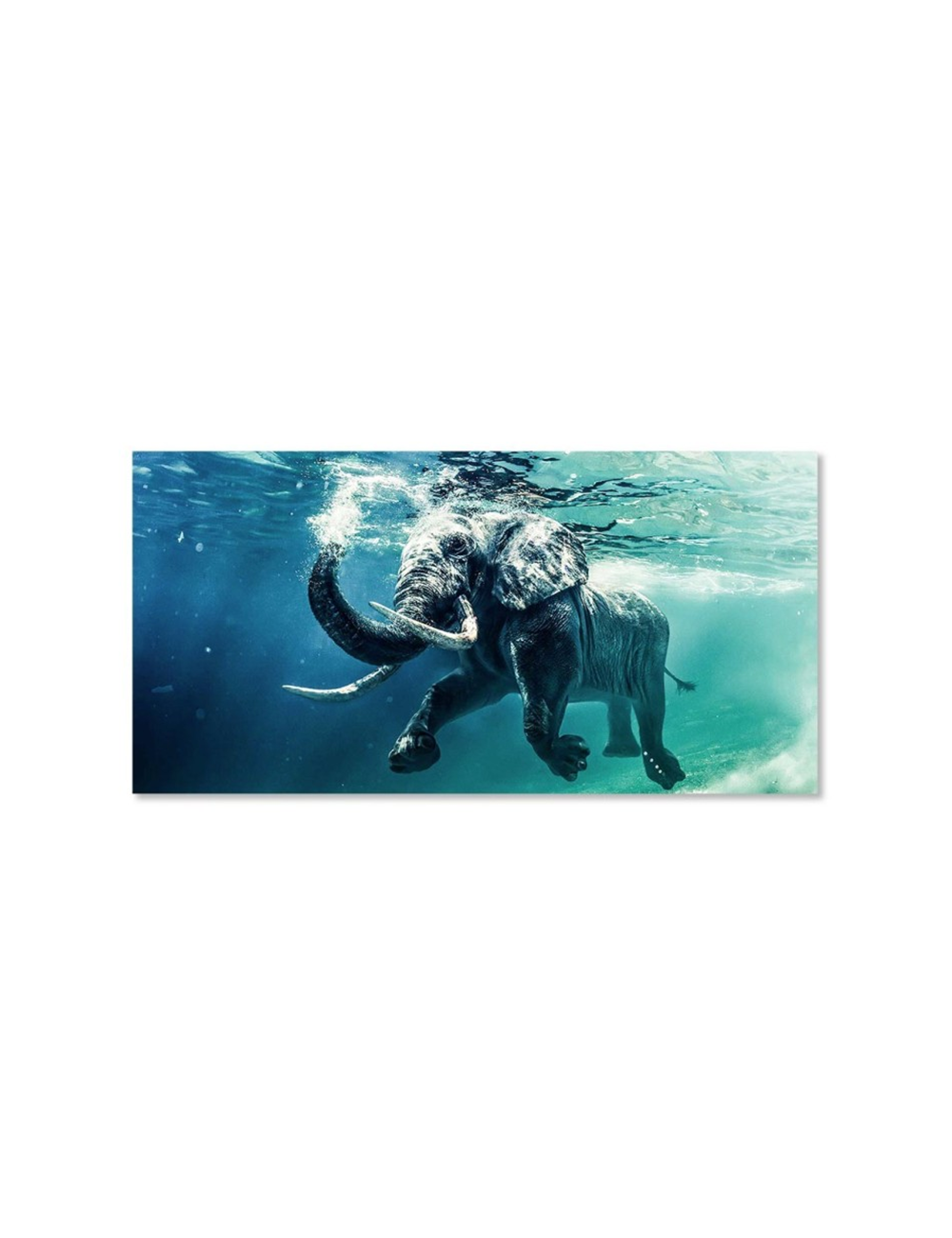 Tableau éléphant sous l’eau sur verre