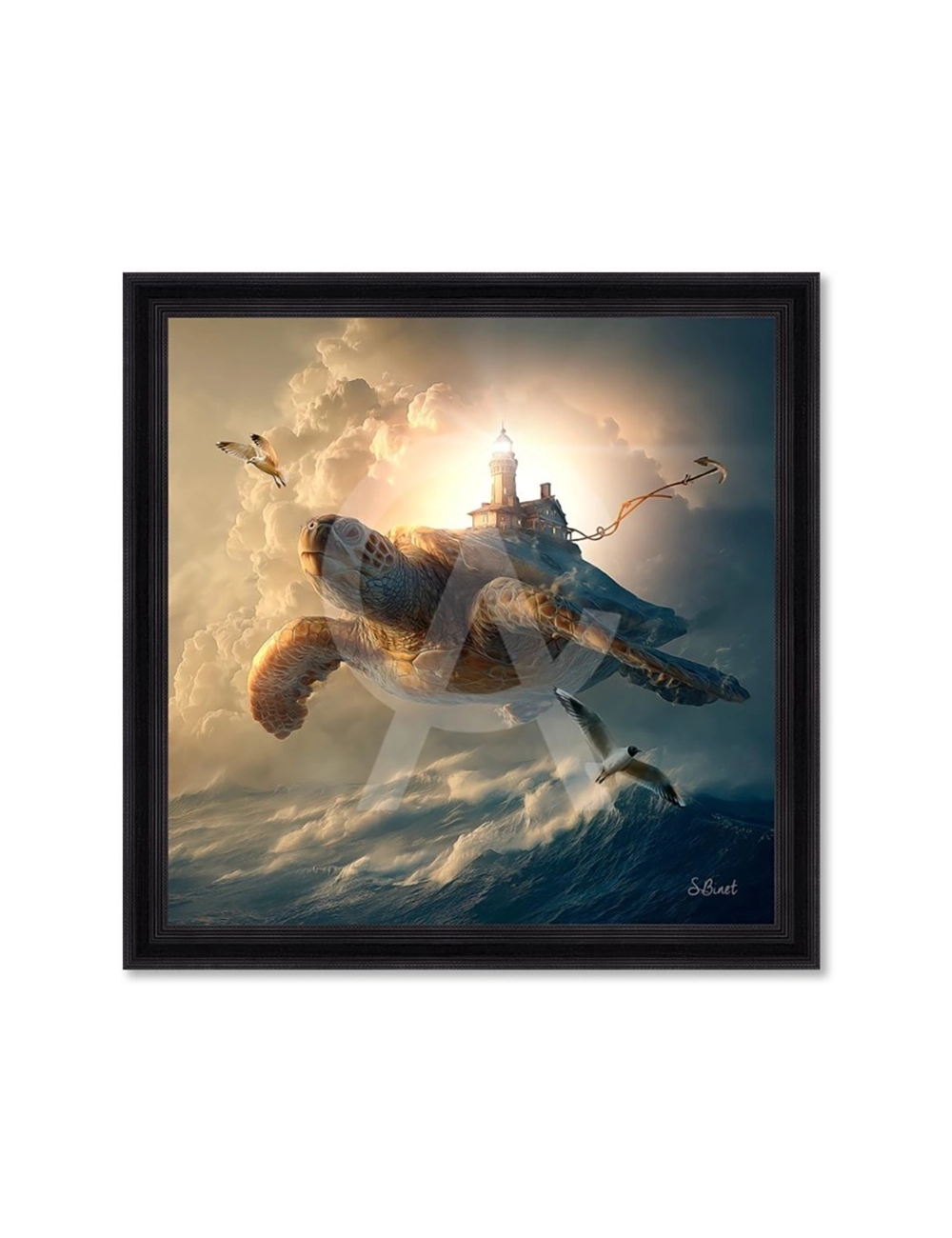 Tableau Tortue phare – Sylvain Binet