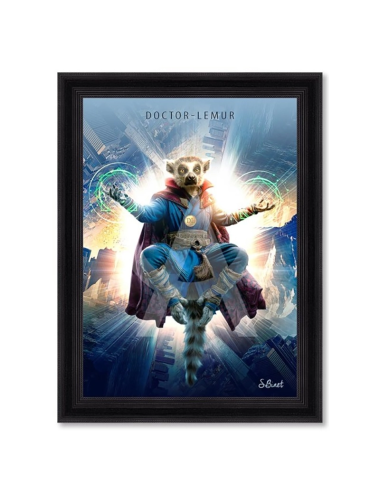 Tableau Doctor Lemur – Sylvain Binet