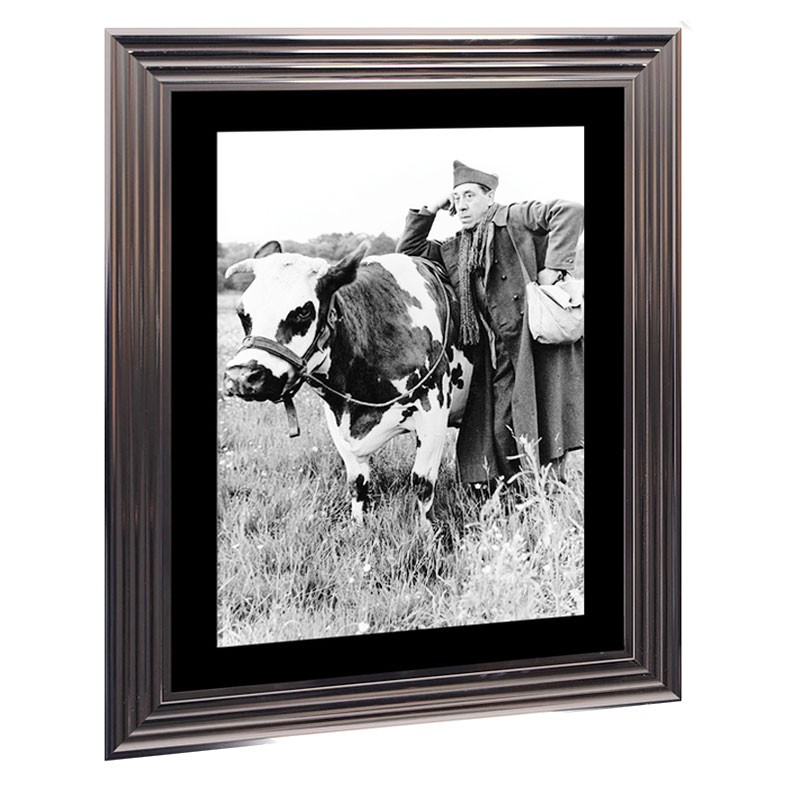Image encadrée noir et blanc, " La vache et le prisonnier,50x70cm